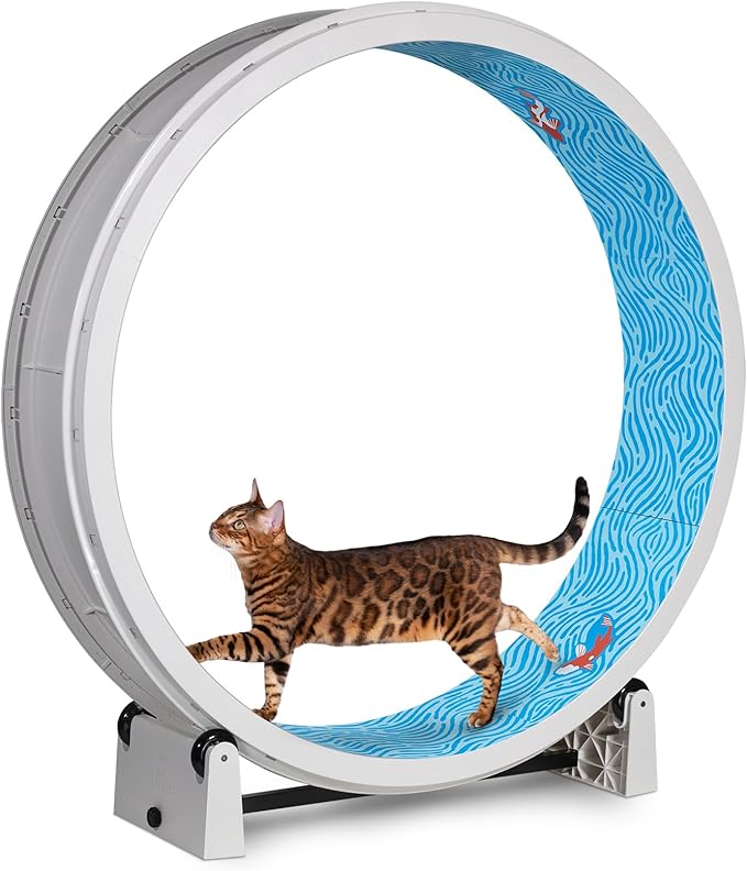One Fast Cat - Cat Exercise Wheel - Gen. 7 - Safe 48" Diameter - Made in The USA - White Wheel with Koi Pond Foam Traction Pads and Light-Up LED Inline Wheels