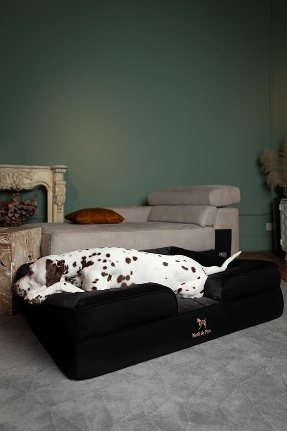 NOAH & PAW XL Dog Bed, 45x35x11 Inch, Orthopedic Large Dog Beds, Eggshell Memory Foam Infused with Cooling Gel, Inner Cover, Waterproof, Machine Washable (Denim Sofa Collection)