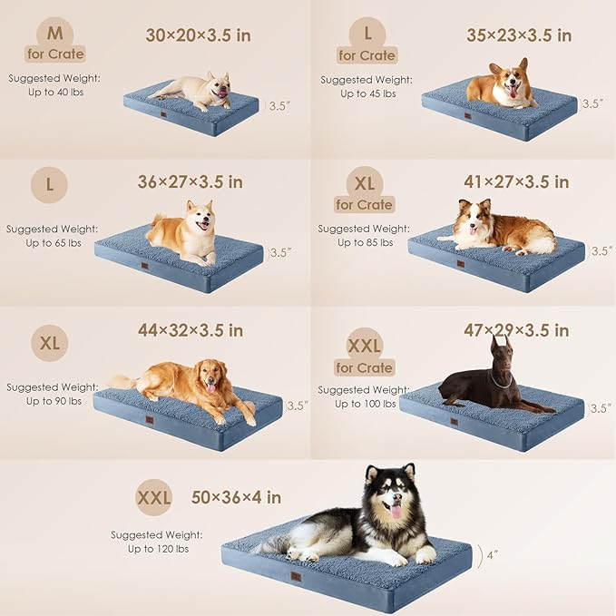 EHEYCIGA Orthopedic Medium Dog Beds for Small Dogs with Removable Washable Cover for Crate, Spa Blue, 30x20