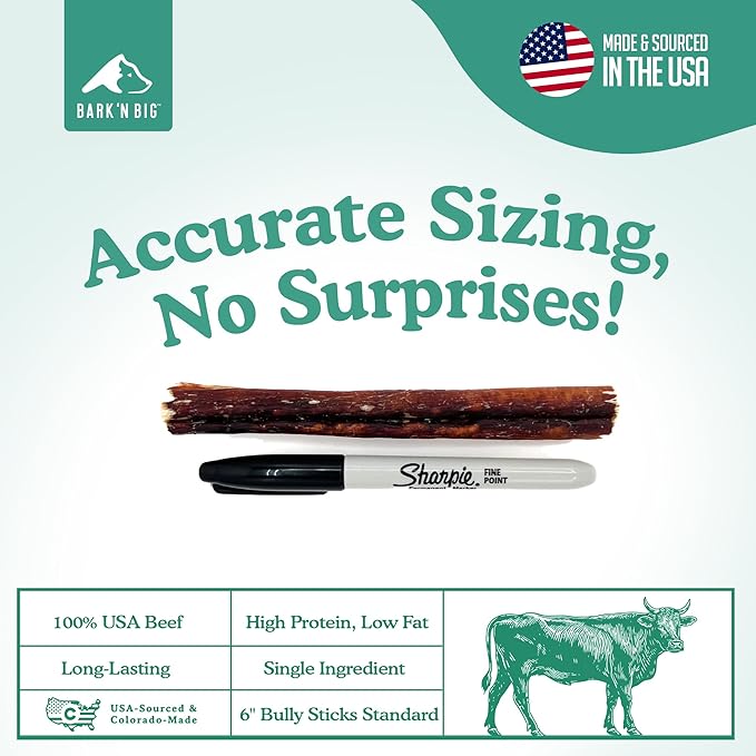 BARK'N BIG 6 Inch Odor Free Bully Sticks for Dogs Made in USA - Single Ingredient Dog Chew - Premium Pizzle Sticks - Beef Pizzles for Small and Medium Breeds - 12 Count