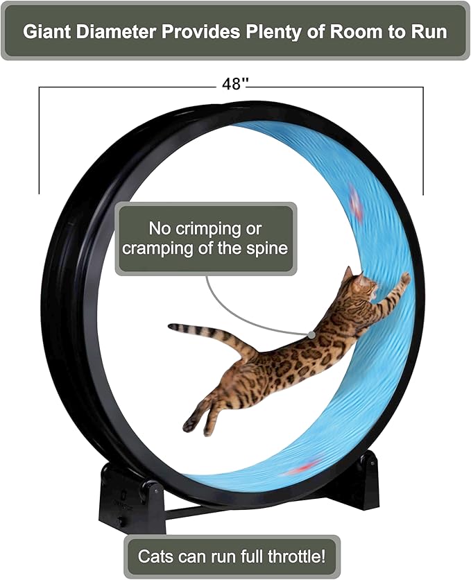 One Fast Cat - Cat Exercise Wheel - Gen. 7 - Safe 48" Diameter - Made in The USA - Black Wheel with Koi Pond Foam Traction Pads and Solid Black Inline Wheels
