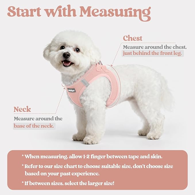 rabbitgoo Dog Harness Small Sized and Leash Set, Step in Soft Light Puppy Vest, Breathable Mesh Pet Harness, Reflective for Safe Outdoor Walking, Pink S