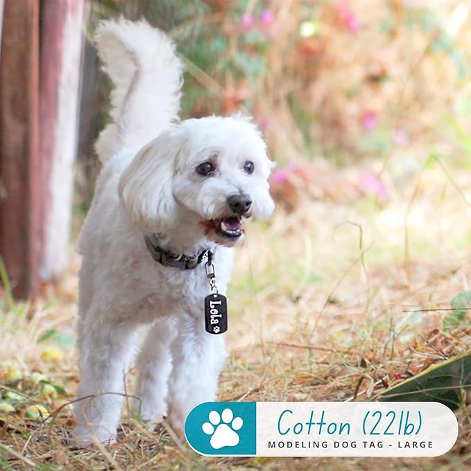 Ultra Joys Dog Tags Personalized for Pets - Hollow Paw Custom Pet ID Tag - Engraved Dog Tag for Small, Large Dogs - Small Military Dog Tag in Black