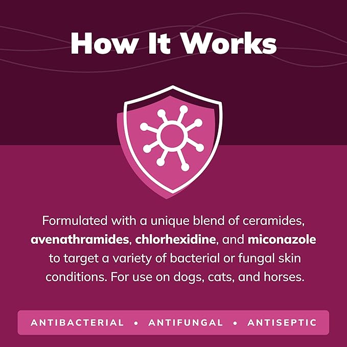 CeraSoothe® CHX+MC Antiseptic Shampoo 8oz