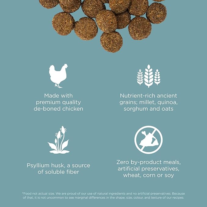 Go! Solutions Digestion + Gut Health, Dry Dog Food, Chicken Recipe with Ancient Grains, 22 lb Bag