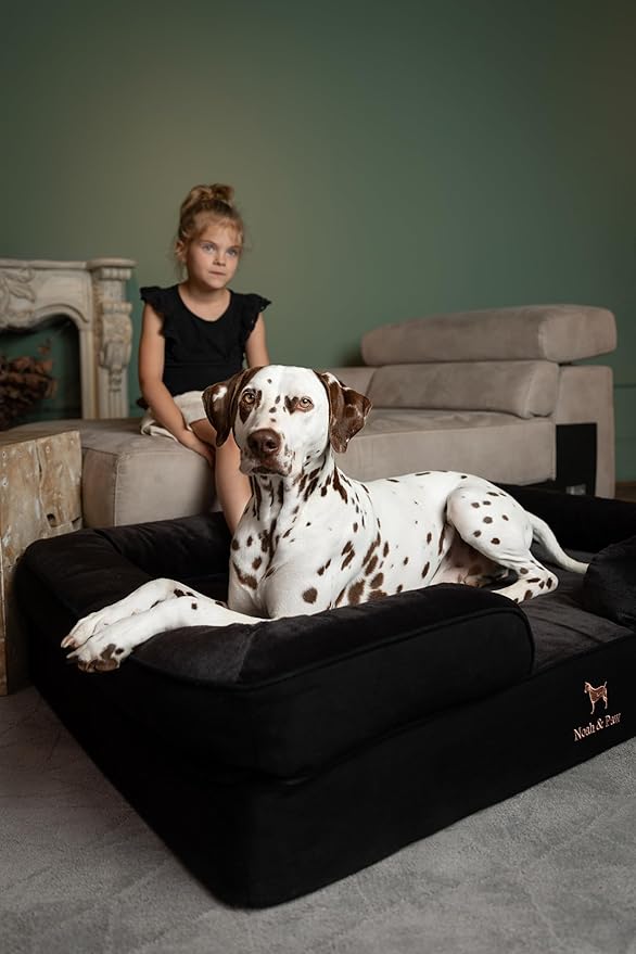 NOAH & PAW XL Dog Bed, 45x35x11 Inch, Orthopedic Large Dog Beds, Eggshell Memory Foam Infused with Cooling Gel, Inner Cover, Waterproof, Machine Washable (Denim Sofa Collection)