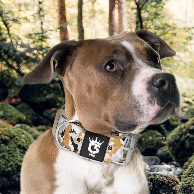 TSPRO Tactical Dog Collar 1.5 Inch Wide Thick Dog Collars with Heavy Duty Metal Buckle, Durable, Strong, Adjustable for Medium to Large Dogs (Camo Khaki M)