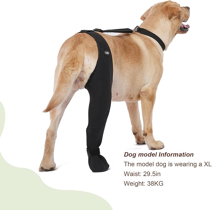 Dog Socks to Prevent Licking Paws ，Breathable Leg Sleeve to Stop Licking and Biting， Firm and Secure Adjustable Size Dog Recovery Sleeve Socks (L-Right)