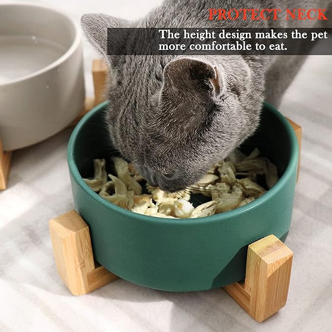 Petygooing Ceramic Dog Cat Bowl Set with Stand,Medium Dog Bowls,Pet Food and Water Dish, Anti -Slip Set of 2 Cat Bowls-Pet Food Bowl- Pet Dish Small Medium Size Pet (28 OZ /3.6 Cups) Green