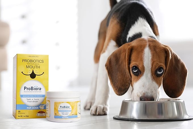 Probiora for Dogs | Dog Probiotic Supplement for Oral Care | Pet Probiotics to Reduce Bad Breath | Dog Nutritional Supplement for Dental Health | 30 Servings (Pack of 3, Jar)