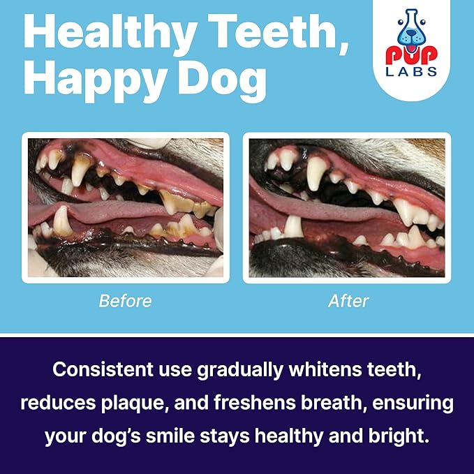 ProDenta, All-Natural Dog Dental Powder for Teeth Cleaning, Dental Powder for Dogs Teeth with Breath Freshener. Easy to use for Tartar Removal and Leaky Gums. Made in USA, 30 Servings