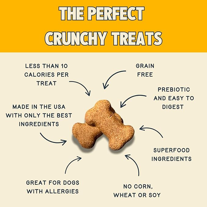 Jiminy's Crunchy Peanut Butter & Blueberry Dog Treat, Hypoallergenic, Prebiotic, Tummy Friendly, Low Calorie, Alternative Cricket Protein, Sustainable, 5oz (Pack of 1)