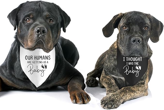 2 Pack Our Humans are Getting Us a Baby Dog Bandanas Pregnancy Announcement Bandana for Dogs Pet Accessories Lovers Reveal Ideas