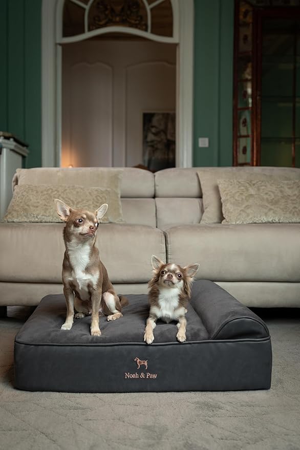 NOAH & PAW Dog Bed, 28x23x7.5 Inch, Orthopedic Dog Beds for Medium Size Pets, Eggshell Memory Foam Infused with Cooling Gel, Waterproof, Machine Washable, Includes Inner Cover (Faux Leather)