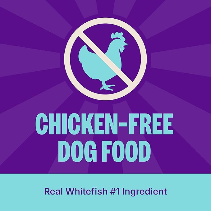 Wellness Natural Pet Food Wellness CORE Wholesome Grains Ocean Recipe, 4 Pound Bag