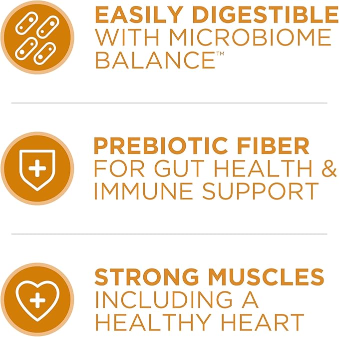 Purina ONE Chicken and Rice Formula Dry Dog Food - 8 lb. Bag