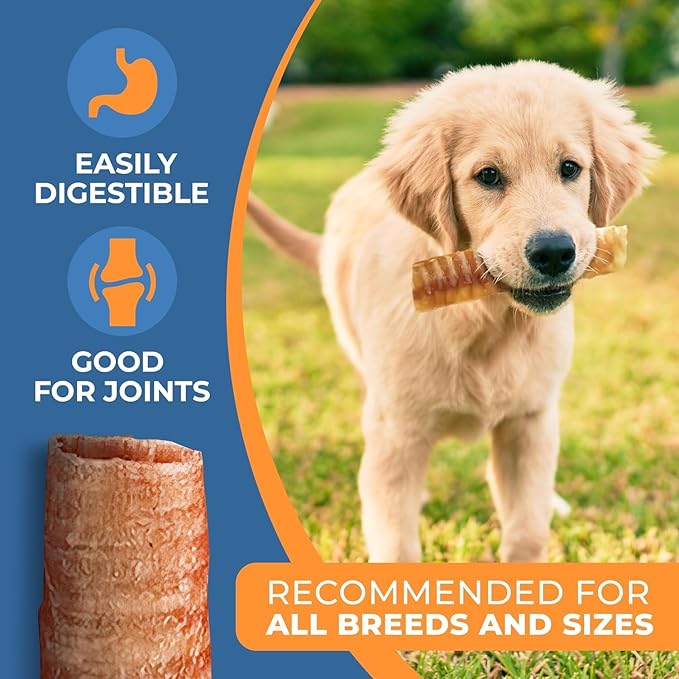 Trachea Dog Chews - Premium Beef Trachea for Dogs Packed in USA - Natural Cow Trachea Dog Treats - Supports Joint Health - High Protein - Long-Lasting Chew for All Breeds - 25 Pack
