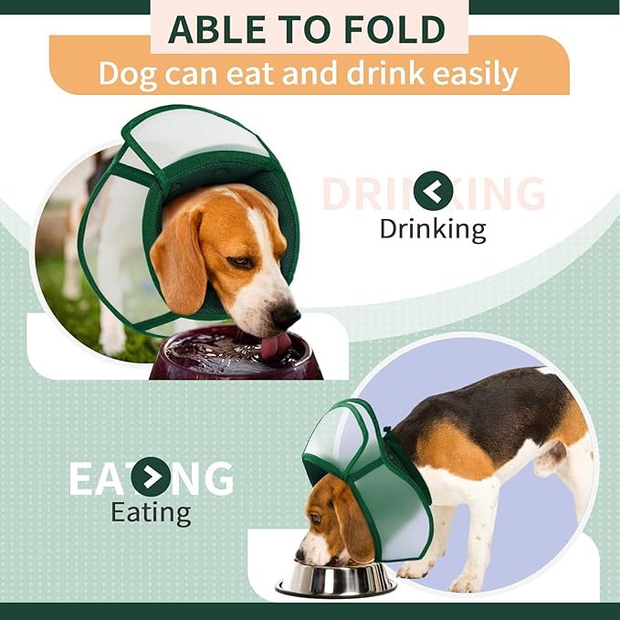 Allroaring Dog Cone Collar After Surgery, Soft Dog Cones for Large Dogs, Breathable Pet Elizabethan Collar Dogs Recovery Cone to Stop Licking Protective Wound Lightweight E-Collar, Green XL