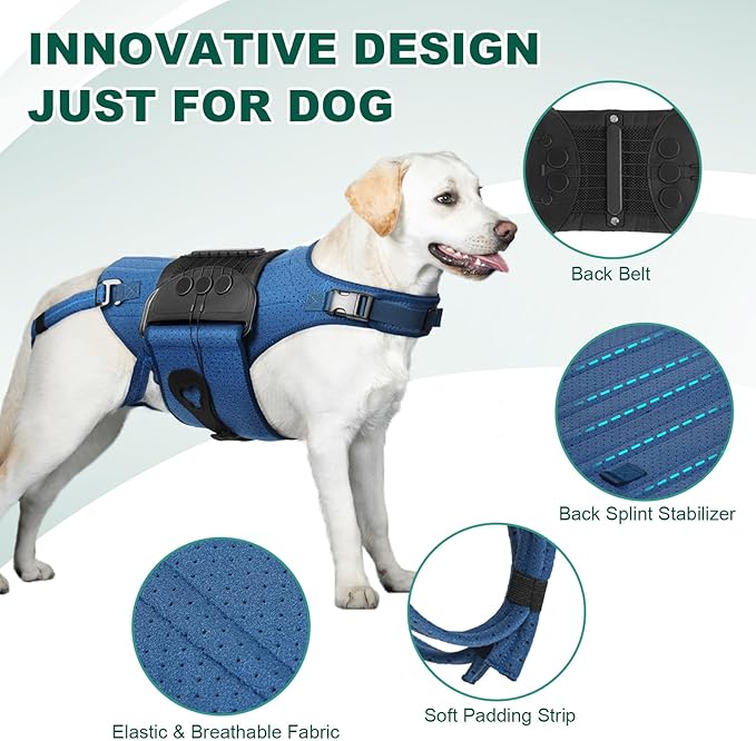 Dog Back Brace for IVDD, Arthritis, Slipped and Herniated Discs – Provides Back Support and Pain Relief, Stabilizes Spine for Surgical Recovery and Mobility, Dogs Back Disease Prevention(Blue,S)