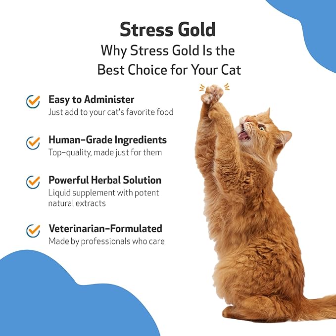 Pet Wellbeing Stress Gold for Cats - Vet-Formulated Situational Feline Stress Support - Fast-Acting Vet Visits, Travel, Grooming - Cat-Safe Holistic Herbal Blend - Liquid Support 2 oz (59ml)