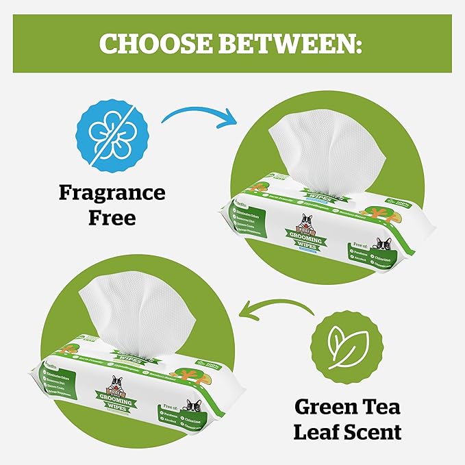 Pogi’s Dog Grooming Wipes – Hypoallergenic Pet Wipes for Paws, Body & Butt – Cleaning & Hydrating, Green Tea Scent, 100-Count