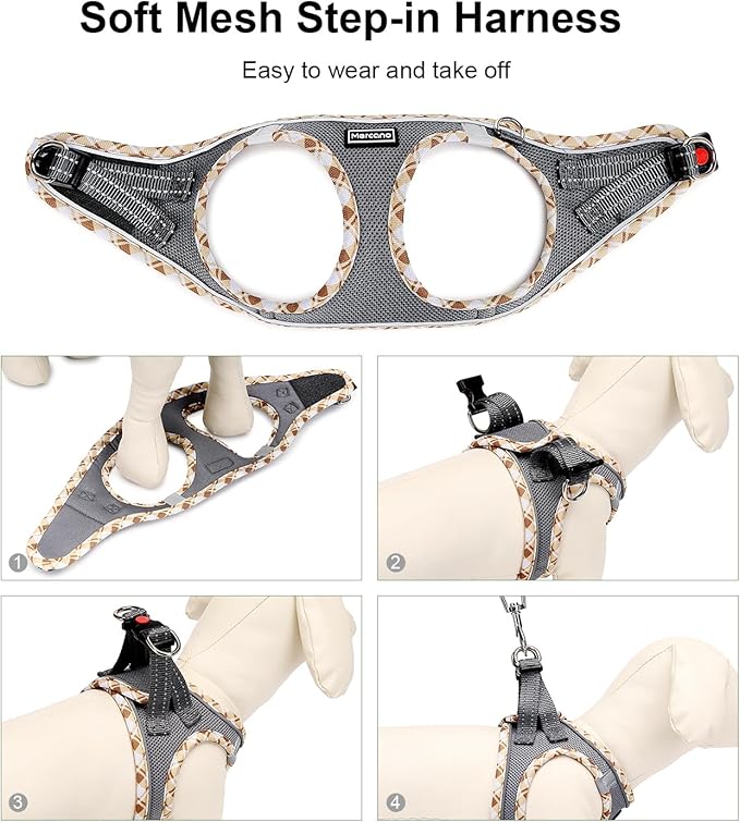 Mercano Soft Mesh Dog Harness and Leash Set, No-Chock Step-in Reflective Breathable Lightweight Easy Walk Vest Harnesses with Safety Buckle for Small Dogs, Cats (Grey, S)