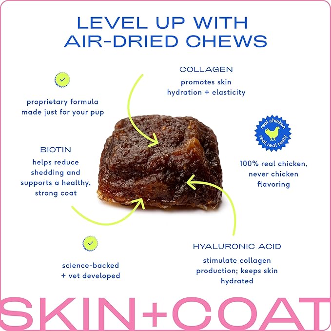 Native Pet Omega Skin and Coat Chews for Dogs - Dog Skin and Coat Supplement for Healthy, Shiny Fur, Reduce Shedding and Dry Spots - Made with Omega 3 Fish Oil and Wild-Caught Salmon Oil - 60 Chews