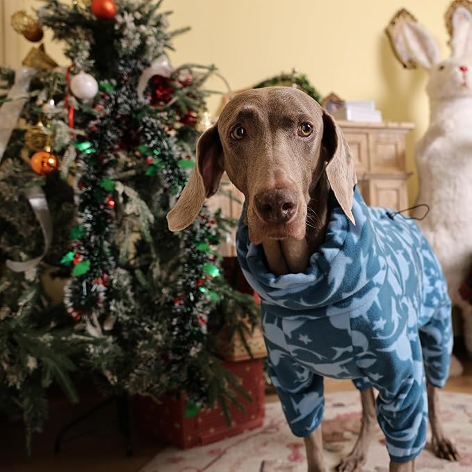 ROZKITCH Dog Shark Outfit, Pet Windproof Warm Cold Weather Jacket Vest with Luminous Zipper, Jumpsuit Apparel Outfit Clothes for Small Medium Large Dog Shark L