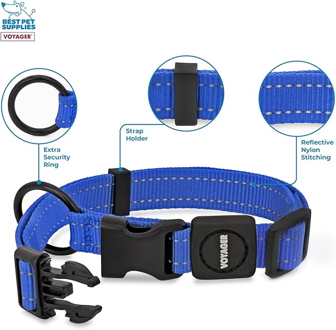 Best Pet Supplies Reflective Dog Collar with Adjustable Length, Heavy-Duty Buckle, and Strong Leash D-Ring, Training, Walking, Jogging Accessory for Small, Medium, and Large Breeds - Royal Blue, M