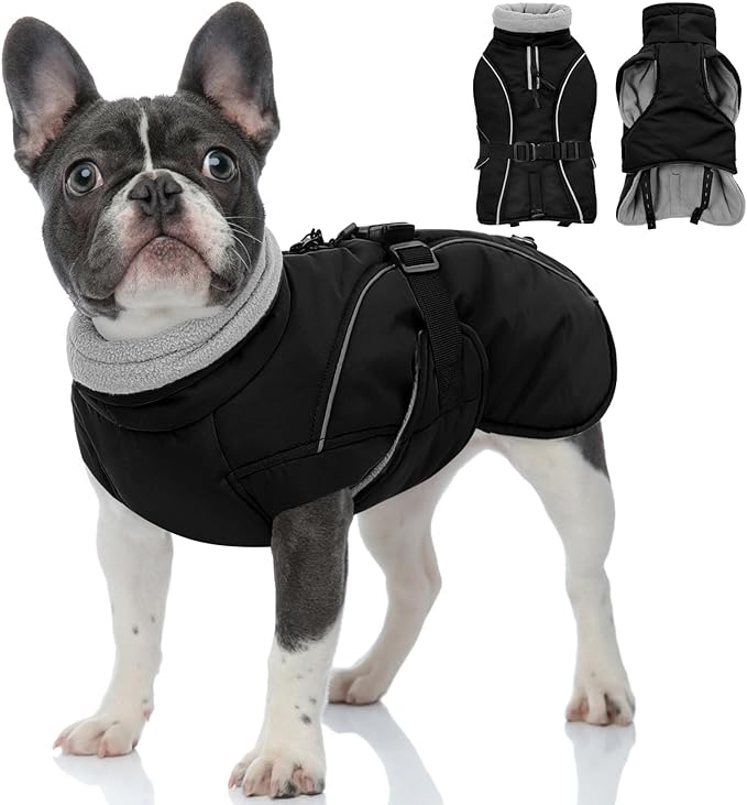 Queenmore Winter Dog Coat Warm Dog Jacket Vest Waterproof Puffer Fleece Snowsuit Adjustable Buckle Leash Hole Reflective Cold Weather Parka for Small Medium Large Dogs Girl Boy Black M