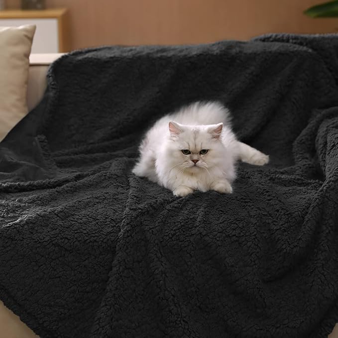 Luciphia Waterproof Pet Blanket, Liquid Pee Proof Dog Blanket for Sofa Bed Couch, Reversible Sherpa Fleece Furniture Protector Cover for Small Medium Large Dogs Cats, Black Thicken Large（65" x 57"）