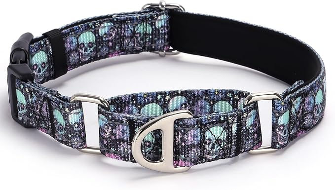 Martingale Collar for Dogs - Reflective Nylon with Padded Comfort & Quick Release Buckle - Skull Design, No Slip Choke Heavy Duty Collar for Safe Training, Walking & Nighttime Use S