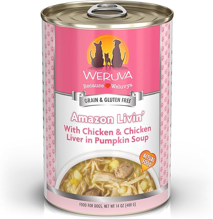 Weruva Classic Dog Food, Amazon Livin' with Chicken Breast & Chicken Liver in Pumpkin Soup, 14oz Can (Pack of 12)