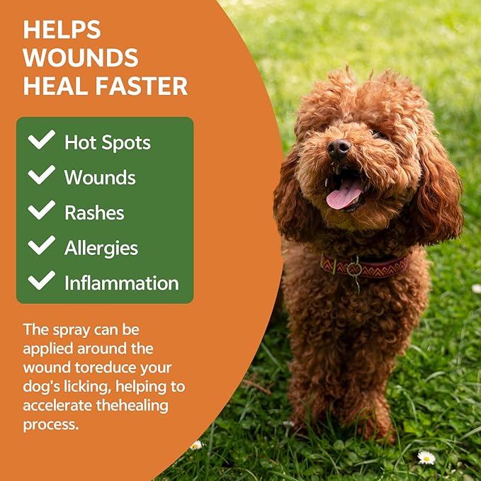 No Chew Spray for Dogs to Stop Chewing & Licking Furniture Shoes, Bitter Apple Spray for Dog, No Trace, Dog Training & Behavior Aids Indoor Outdoor Use