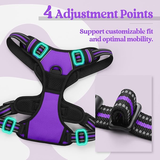 rabbitgoo Dog Harness No Pull with 2 Leash Clips, Adjustable Soft Padded, Reflective Oxford No Choke Pet Vest with Easy Control Handle for Small Dogs, Purple, S
