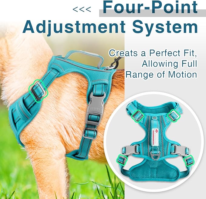 BARKBAY Dog Harness No Pull with ID Tag Pocket - Heavy Duty, Reflective, Easy Control for Small Dogs(Ocean Blue,S)