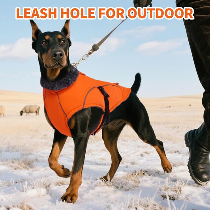 DENTRUN Small Dog Winter Warm Coat - Windproof Cozy Jacket, Thick Fleece Vest with Adjustable Belt, Water Repellent, Reflective Dog Sweater for Yorkie Dachshund Wear, Orange, S