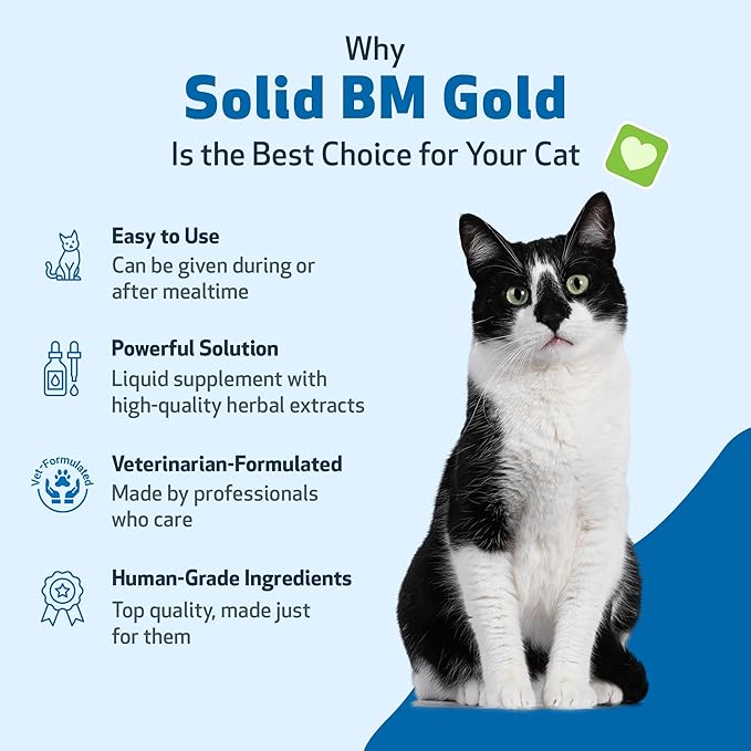Pet Wellbeing Solid BM Gold for Cats - Supports Healthy Digestive Function, Solid Stools, Normal Bowel Movements, Bayberry- Veterinarian-Formulated Herbal Supplement 2 oz (59 ml)
