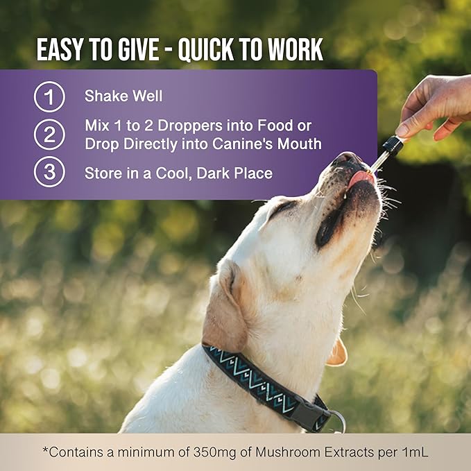 MycoDog Clarity - Cognitive Support Supplement for Dogs - Brain Health, & Senior Dog Wellness - Memory & Focus with Functional Mushrooms & Adaptogens