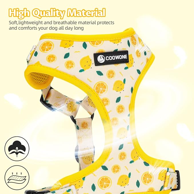 Dog Harness and Leash Set, Adjustable Dog Harness, Dog Leash, No Pull No Choke Puppy Harnesses for Walking Training for Small, Medium Pet (Lemon, S(Chest 13-19", Neck 9.5-13.1"))