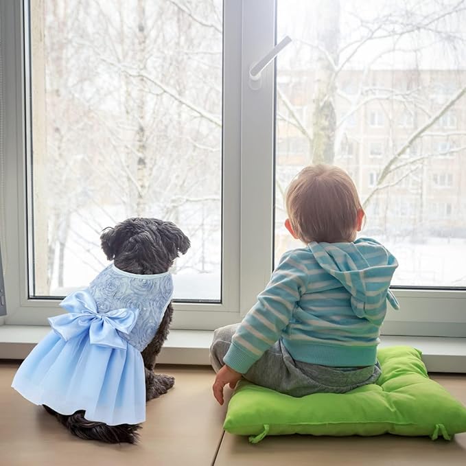 ASENKU Dog Dress Pet Wedding Dress Princess Lace Puppy Birthday Party Outfit Formal Apparel Girl for Small Medium Dogs Cats (Large, Blue)