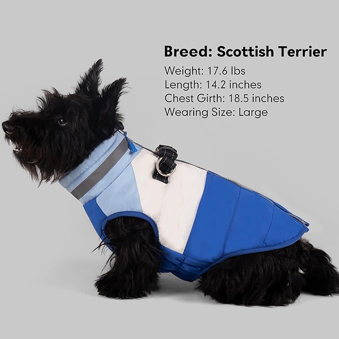 azuza Dog Jacket for Small Dogs Waterproof Dog Coat with Reflective Strips and Harness Built in Warm Fleece Dogs Winter Coat Windproof with Back Zipper, Blue L