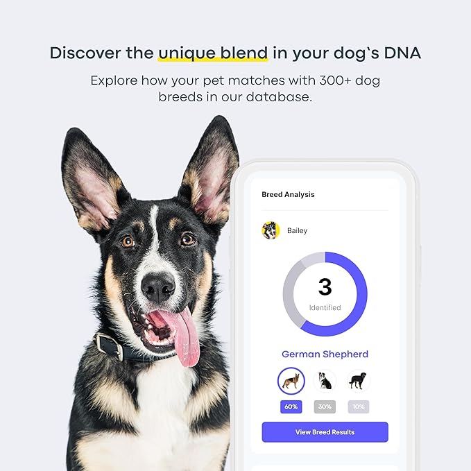 Basepaws Dog DNA Test Kit 2 Pack - 330+ Breeds, 280+ Health Risks, and 30+ Traits - Comprehensive Mixed Breed Identification, Pet DNA Test kit, Canine Genetic Ancestry and Heritage