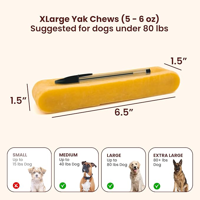 100% Natural Himalayan Yak Cheese for Dogs - XLarge (Pack of 1) - Sourced from Pristine Himalayan Foothill, Rawhide-Free, NO preservatives