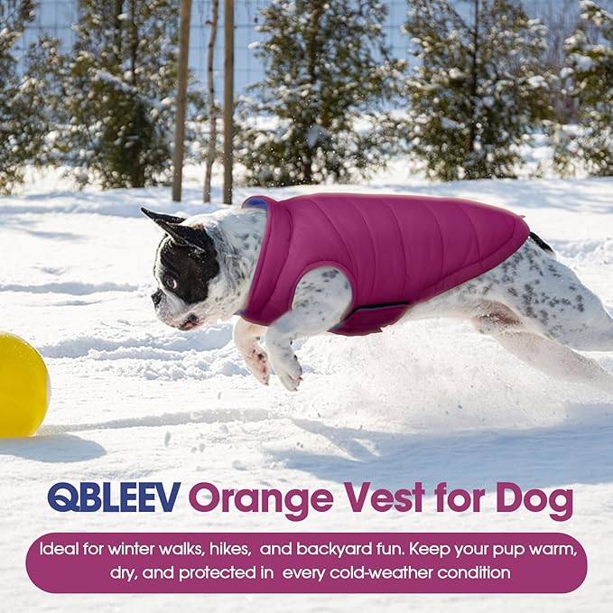 QBLEEV Reversible Dog Coat, Waterproof Winter Puffer Jacket with Leash Hole, Warm Dog Snow Gear for Medium Dogs Cold Weather, Adjustable French Bulldog Padded Vest for Outdoor Walks, Violet, L