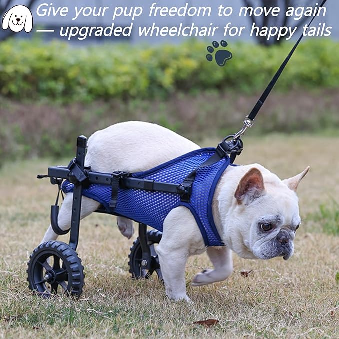 Upgraded Dog Wheelchair for Back Legs, Adjustable Small Dog Wheelchair for Disabled, Injured, Paralyzed, Senior Dogs, Mobility Aid with Leg Brace & Hip Support, Portable Doggy Wheelchairs for Dogs, XS
