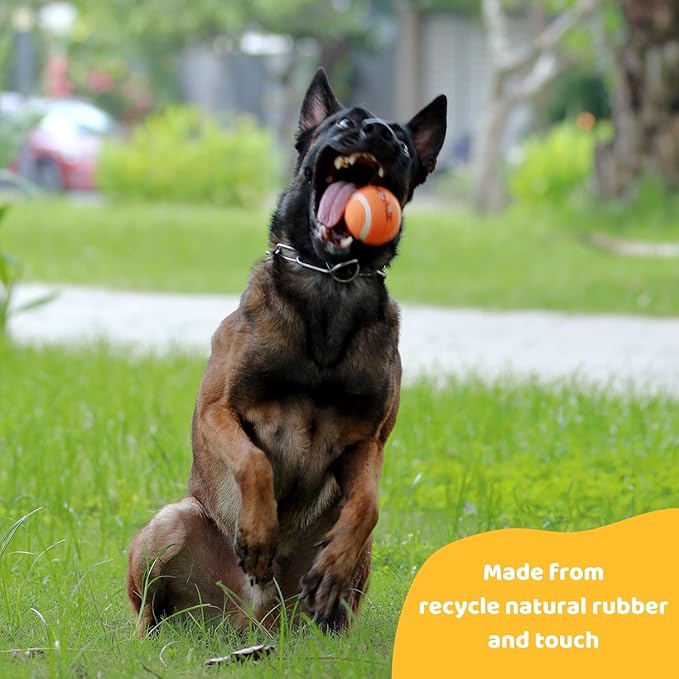 Pup's Pick Squeaky Tennis Balls - 2.5" Fun Dog Balls for Fetch, 12-Pack in Bright Colors (Yellow, Blue, Pink, Orange), Includes 1 Reusable Carry Bag