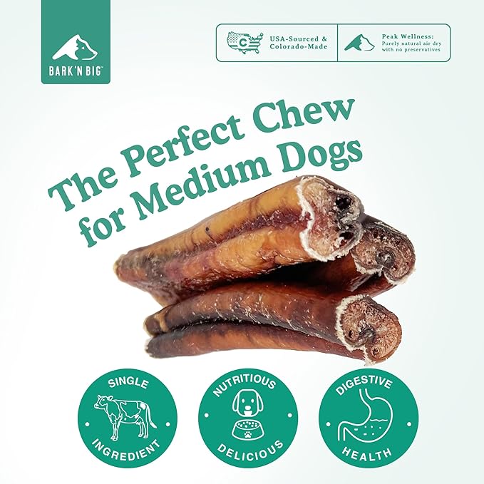 BARK'N BIG Thick 6 Inch Odor Free Bully Sticks for Dogs Made in USA - Single Ingredient Dog Chew - Premium Pizzle Sticks - Beef Pizzles for Small and Medium Breeds - 8 Count