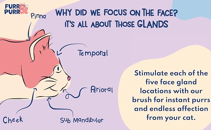 Furr&Purr Cat Brush, Scratcher, and Massager - Indoor Cat Calming Care with Face Scratcher, Finger Brush (3-Pack, Made in USA)