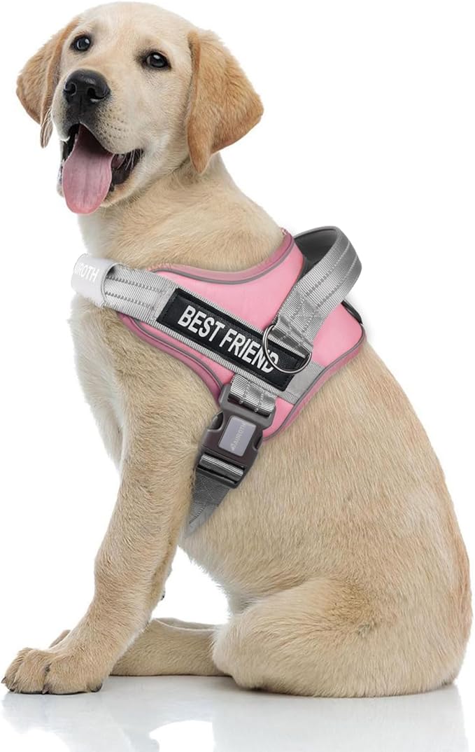 AUROTH Dog Harness No Pull Soft Padded Service Dog Vest, No Choke, Easy On Pet Vest with Handle, Adjustable Reflective Dog Harness for Small, Medium and Large Dogs, Easy Walking and Training